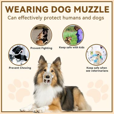 Майорка для собак: кошик-намордник для маленьких, середніх та великих собак. Легкий, дихаючий, запобігає кусанню та жуванню, дозволяє дихати та пити. Ідеально для дресирування, грумінгу. Прозорий, розмір 6