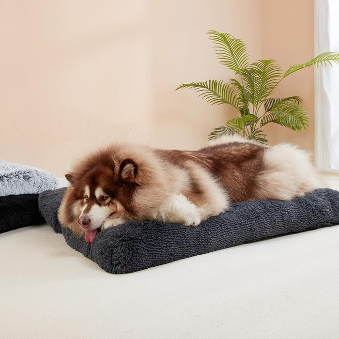 М'яке ліжко для собак EHEYCIGA, великі породи, XXL, 120x90 см, знімний чохол, антиковзаюче, плюшеве, темно-сіре