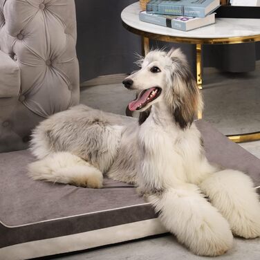 Ортопедичне ліжко для собак Laifug з ефектом пам'яті, велике, водонепроникне, сіре (116 x 69 x 19 см)