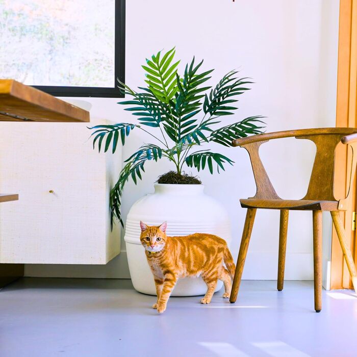 Котлован для котів Good Pet Stuff з штучною рослиною, білий, 51 x 50 см, з фільтром запаху