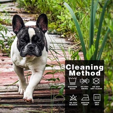 Світшот для собак Чіхуахуа з капюшоном, чорний, з написом 'The Dog Face', розмір Small