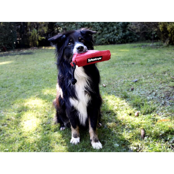 Набір з 3 мішечків для корму NATIV для собак, тренувальний апортний думмі, мішечок для ласощів