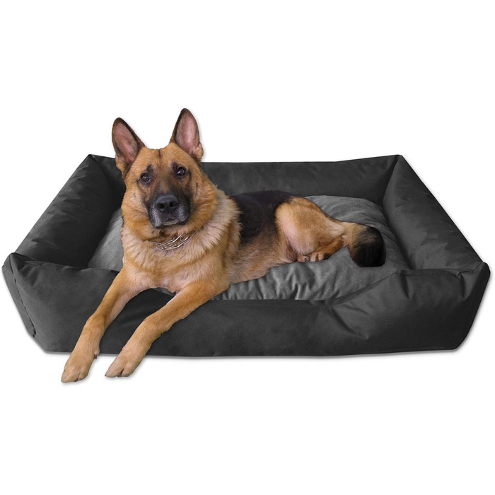 Ліжко для собак BedDog Mimi, коричневе, з міцної тканини Cordura, розмір M, 70x55x18 см, з м'яким бортиком, для дому та вулиці