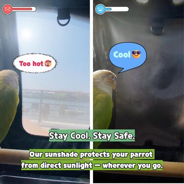 Пташиний рюкзак-переноска Birds Day для папуг з 2 жердками та годівницею, нержавіюча сталь, темно-оливковий зелений