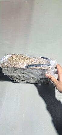 Крісло-лежанка для собак великих порід, XXL, світло-сіре, 106x76x20 см, знімний чохол, неслизьке, з підковою для шиї