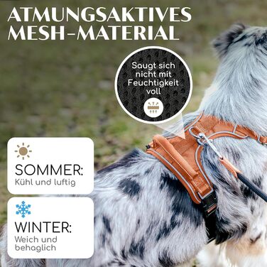 Шлейка для собак Freudentier з м'якою сітчастою підкладкою - максимальний комфорт, надійна фіксація та безпека - антирізний передній кілечко - нагрудник для великих, середніх та маленьких собак (Помаранчевий, L) L Помаранчевий