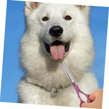 Набір інструментів для грумінгу собак: ножиці для догляду за шерстю, нержавіюча сталь Rosy