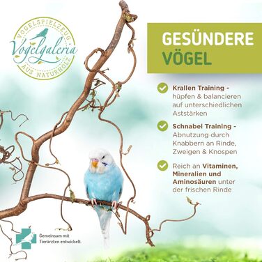 Vogelgaleria® Велика підвісна жердина з ліщини для птахів з вигнутими гілками – ідеальний ігровий майданчик для хвилястих папуг, корел та канарок