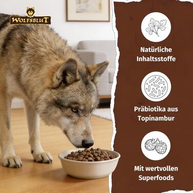 Сухий корм для дорослих собак WOLFSBLUT Adult з кониною, беззерновий, з суперфудами, 12.5 кг