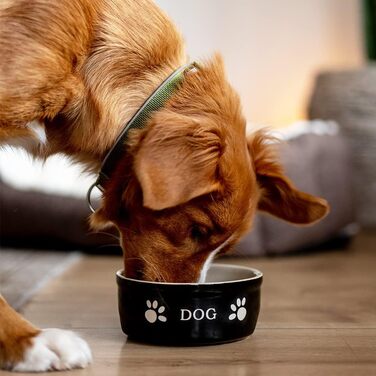 Керамічна миска для собак Nobby PATA, кремовий колір, Ø18 x 7 см, 1,10 л, упаковка з 3 шт.