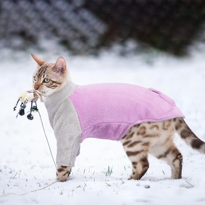 Теплий зимовий пуловер для котів Sphynx, фіолетовий, Roa (M)