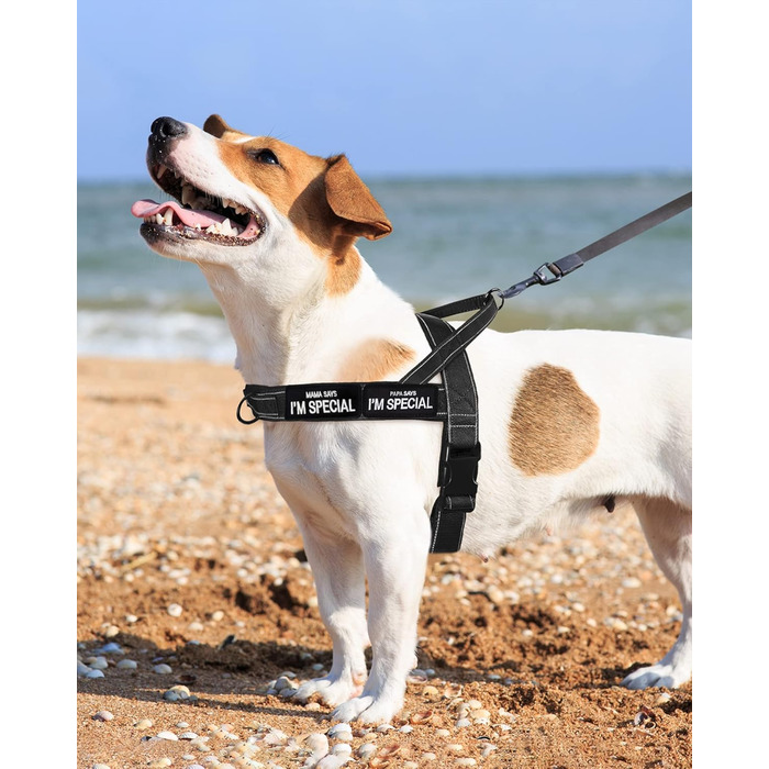 Шлейка для собак Eeyfarog No Pull без ривка, для малих та середніх порід, чорна, регульована, світловідбиваюча (M, обхват грудей 53–70 см)