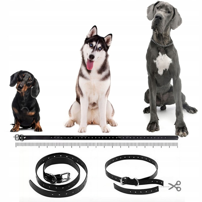 Електричний тренувальний нашийник для собак Save, чорна шкіра, розмір L/XL