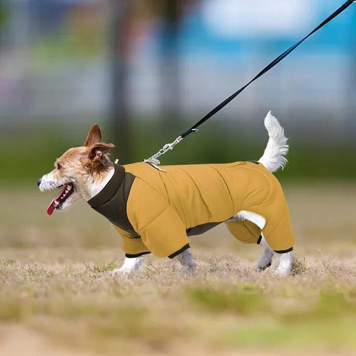 Зимовий одяг для собак - тепла куртка, вітрозахисний жилет, зимовий костюм, піжама для собак (жовтий, M)