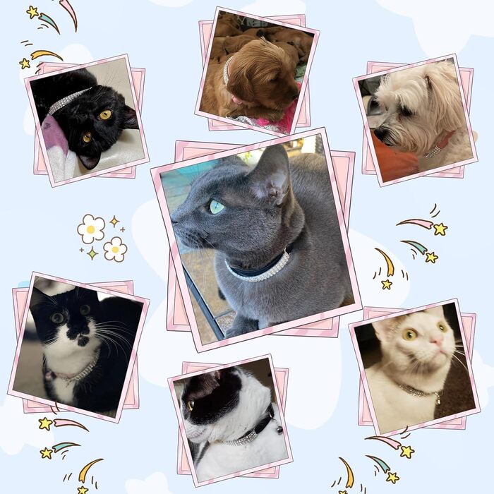 Нашийник для котів ExPawlorer з дзвіночком та стразами, на м'якому оксамиті, регульований, безпечний, для котів та маленьких собак, 2 шт., 9'-12' (Синій та фіолетовий)