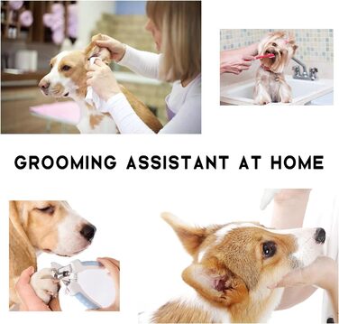 Набір для догляду за домашніми тваринами Augegel: гамак для собак та котів, інструменти для грумінгу (набір)