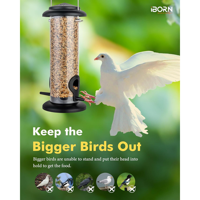 iBorn годівниця для птахів на підвіску, 2 шт. Зелена, металева, стійка до іржі, 8 дюймів