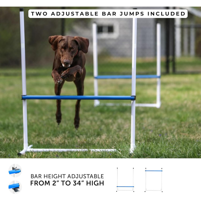 Набір для аджиліті для собак Better Sporting Dogs Deluxe: 7 елементів | Стрибки, тунелі, weave-стійки, бокс для відпочинку