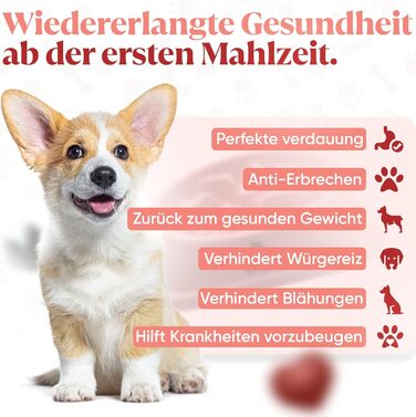 Миска для собак від ковтання велика | Повільне та здорове харчування, Slow Feeder, сприяє травленню, запобігає блювоті, неслизьке дно, миска для собак, для великих та XXL собак