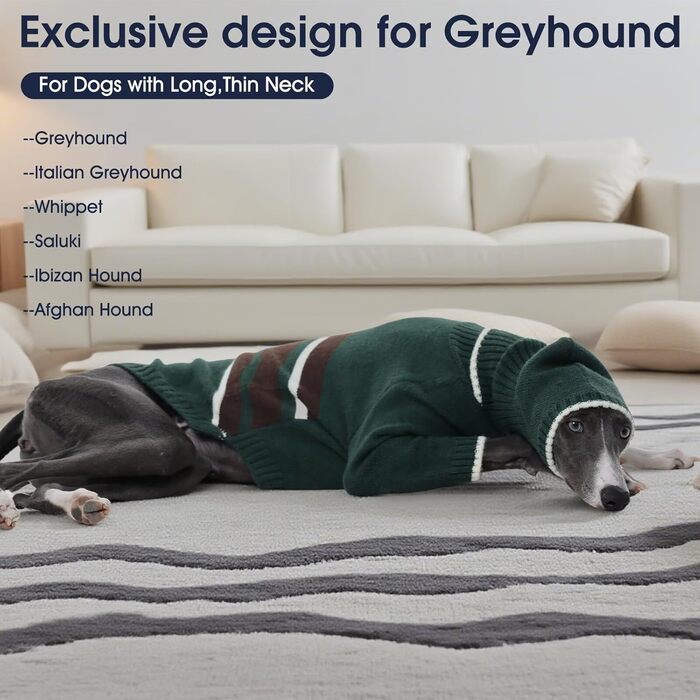 Светр з капюшоном для собаки Windhund, теплий італійський грехаунд, віппет, термо одяг для собак, зелений, XS
