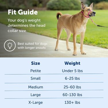 Нашийник для дресирування PetSafe Sanfter Führer, фіолетовий, Medium (упаковка 1)