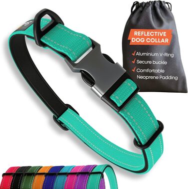 Нашийник для собак середнього розміру, світловідбиваючий, з підкладкою, регульований, металева застібка, кільце з алюмінію, колір Dreamy Aqua