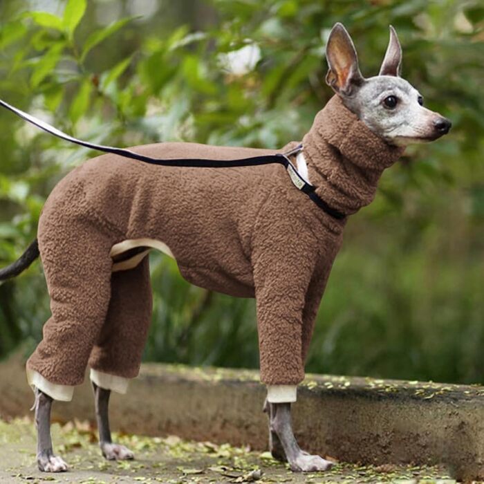 Піжама для собак з високим коміром: теплий флісовий комбінезон для Віппетів та Афганських Віндхундів, затишна піжама для домашніх тварин (A,M)