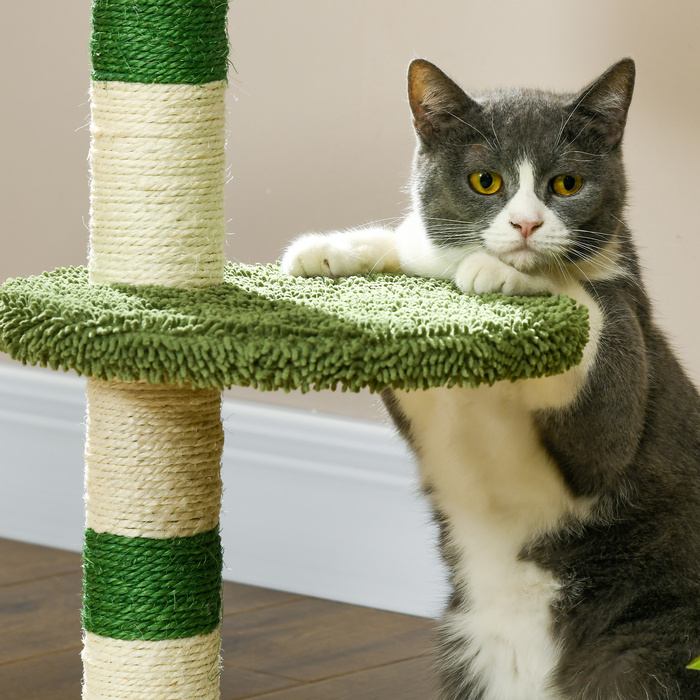 PawHut Cat Tree Маленьке 64 см Котяче дерево з лежачою поверхнею та ігровим м'ячем для маленьких кішок Сизаль зеленого кольору