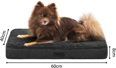 Ортопедичне ліжко для собак Lionto, 60x40x8 см, міцне, з м'яким плюшем, знімний та пральний чохол, водовідштовхувальне, для собак та котів, чорне