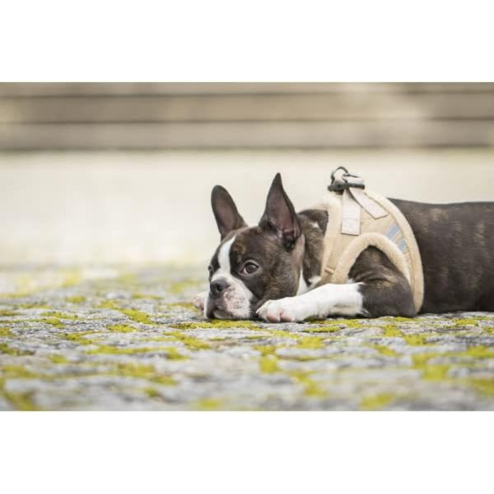 М'який нашийник для собак CHIARA MIA, розмір XL, чорний. Водовідштовхуючий, з регулюванням на липучці, світловідбиваючі смуги.