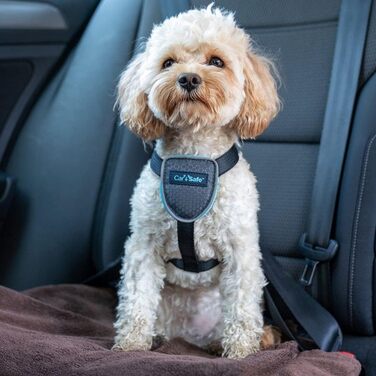 Автомобільна шлейка для собак CarSafe XS, безпечна поїздка для дуже маленьких собак, відповідає ПДР, для транспортування тварин у авто