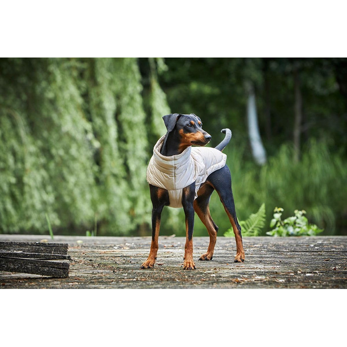 Вольтерс Степова куртка Cosy, розмір 46 см, колір: тауп