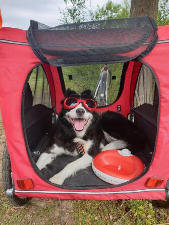 Автоматична поїлка Torus Pet Mini 1 л, червона, з фільтрацією, для котів та малих собак, портативна, антимікробна, BPA Free