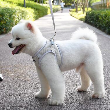 Нашийник та поводок для цуценят, комплект для прогулянок, нашийник Step-in, м'який, дихаючий, аксесуари для домашніх тварин, світловідбиваючі смуги, для дуже маленьких собак та котів, Бежевий, XXXS Бежевий XXXS (Обхват грудей: 21.5 - 25.5 см)