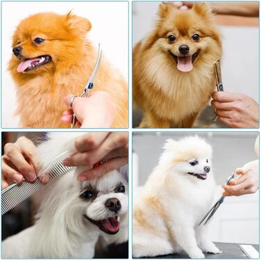 Набір професійних ножиць для собак 3 в 1, набір ножиць для грумінгу собак, ножиці для собак з прямим лезом та зубчастим лезом, для собак, котів та інших тварин