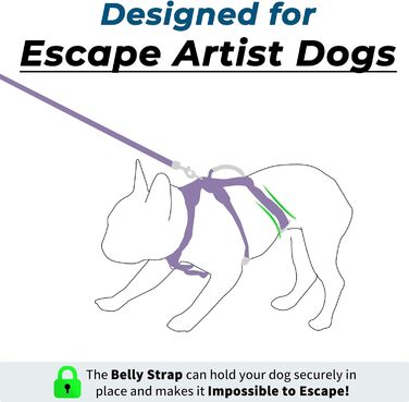 Нашийник для собак Wuffley з повідком, безпечний, анти-тяга, з ручкою, світловідбиваючий, регульований, для середніх собак (Lila, M)