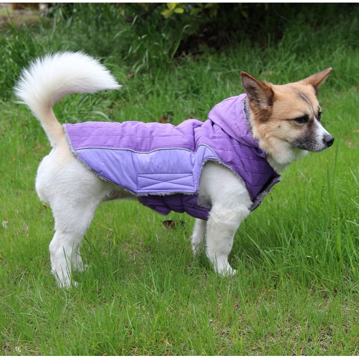 Флісовий худі для собак JoyDaog, теплий одяг для маленьких цуценят, зимовий одяг для собак, зелений, розмір S