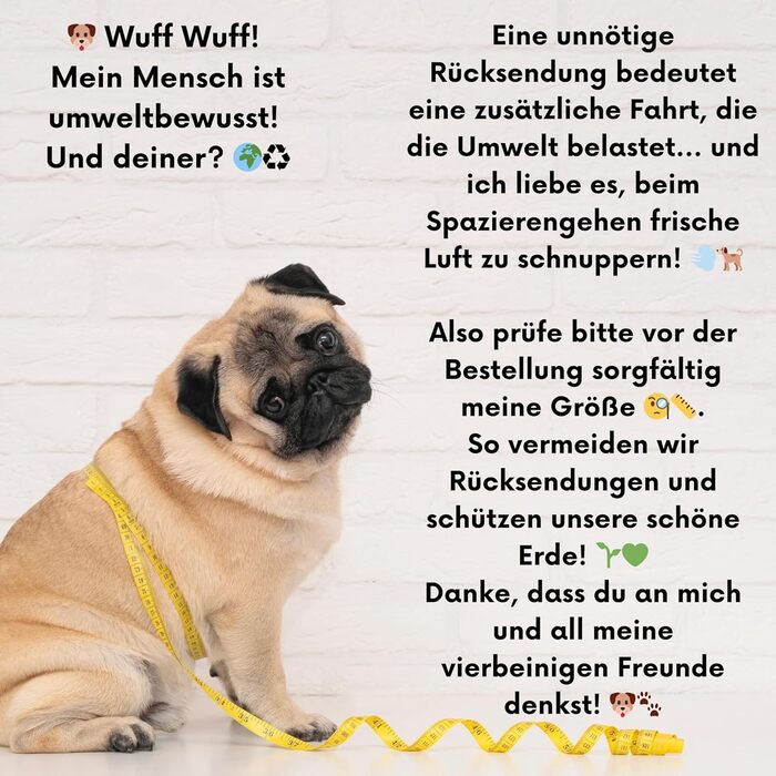 Нашийник для собак на Різдво (S) Hohoho | М'який нашийник Arizona Hotdogs | Леєчка нейлон 1,5м | Різдвяний нашийник для маленьких собак