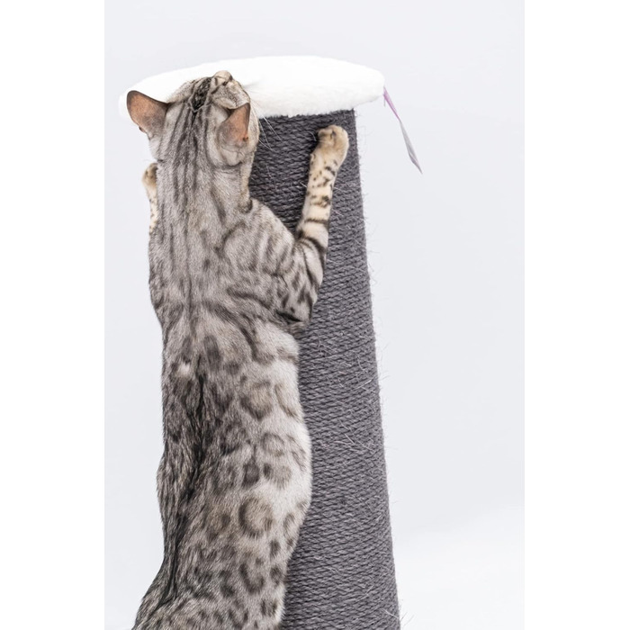 Дряпак для великих котів Petrebels Savannah XXL 86 см, висока якість, товста стовп-колона Ø20 см, оф-вайт