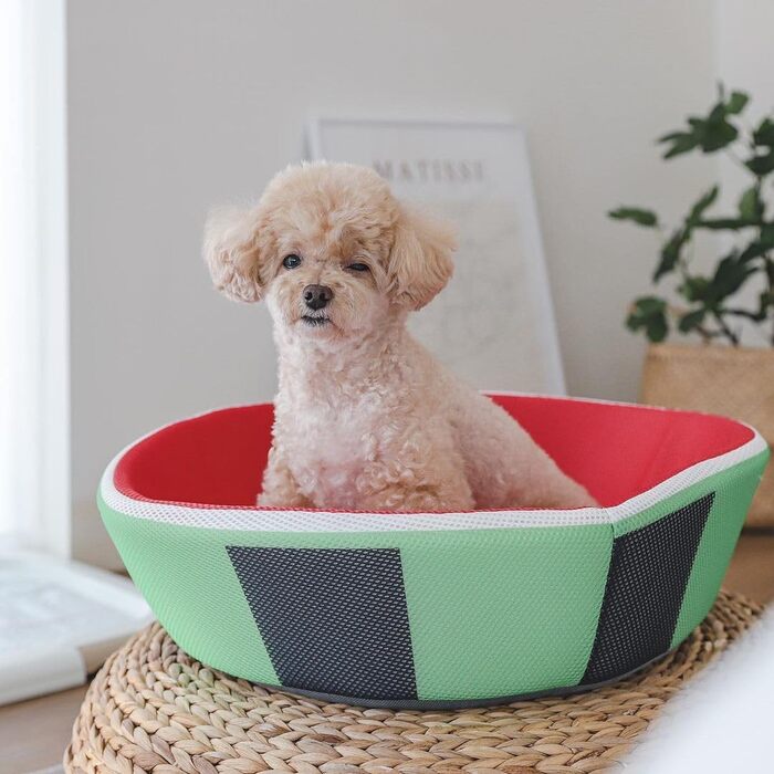 Килимок для тварин Iris Ohyama, корзина-подушка, миючий, з бортиком, L40 x B69 x H12 см, антиковзаюча, PCB-20P, для собак, у стилі кавуна, літній