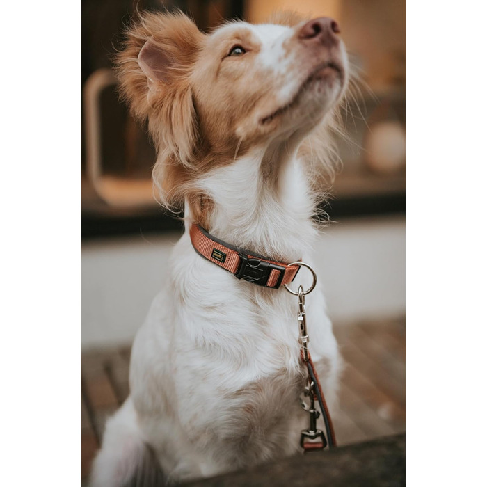 Нашийник для собак HUNTER Neopren Vario Plus, нейлон, неопрен, регульований, з поглинанням ривка, комфортний, розмір L/2,5, колір: мідний/сірий