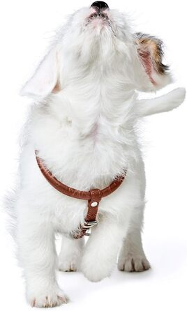 Нашийник для собак HUNTER Round & Soft Canadian UP, колір: Cognac, м'яка, еластична шкіра, оброблений край, не травмує шерсть, екологічний, Made in Germany, розмір: S/1 S/1 Cognac