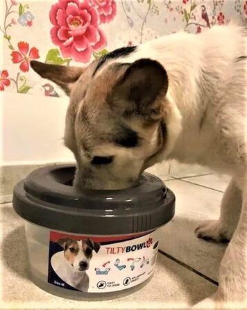 Миска для собак Tilty Bowl розмір M (рожева)