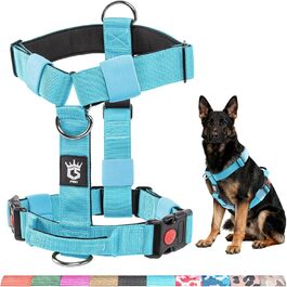 колір: блакитний