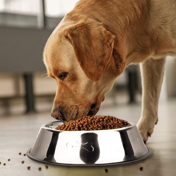 Миски для собак з нержавіючої сталі, 2 шт. - неслизька основа, для корму та води, середніх та великих собак, срібні