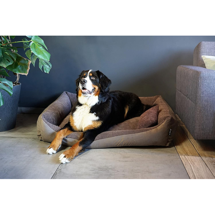 4L Textil Teo: М'яке ліжко для собак, корзина для собак середнього розміру, знімний та пральний чохол (100x80 см, Коричневий)