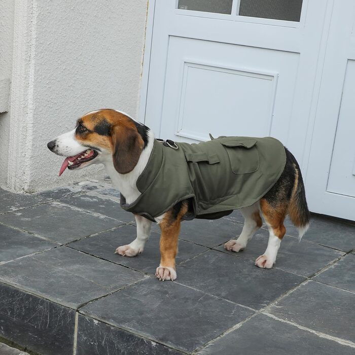 Зимовий теплий одяг для собак маленьких порід, куртка з інтегрованим шлейкою, вітронепроникна, з кишенями для зберігання, колір зелений, розмір XXL (1 шт.), зелений (шлейка)