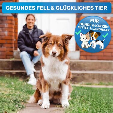 Гребінець для собак та котів з довгим хутром BluePet: видаляє підшерстя та ковтуни, захищає верхній шар, для собак M-L, рожевий