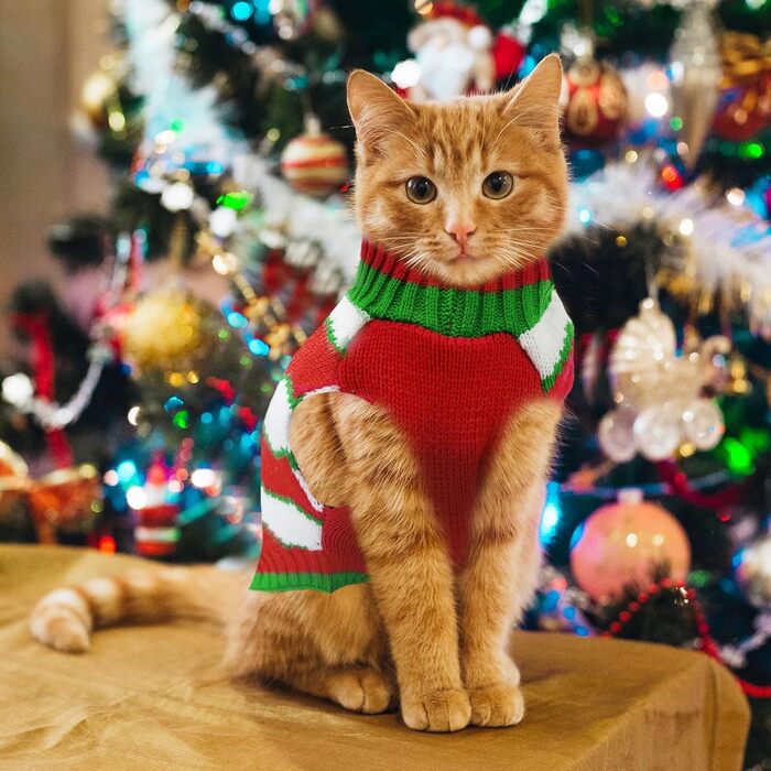 Пуловер для собак на Різдво: Костюм Святого Миколая для собак, малого, середнього та великого розміру. Червоний пуловер з повідком та отвором для хвоста. Ідеальний одяг для домашніх тварин. Розмір L.