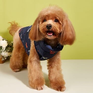 Теплий зимовий одяг для собак: куртка для маленьких собак, вітронепроникний, чорний, розмір M (S, блакитний)